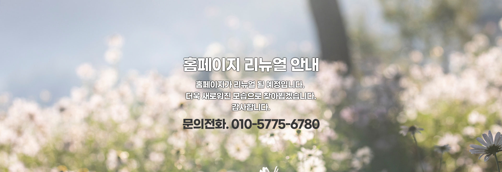 강릉입주청소 PC 비주얼 0